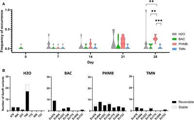 Polyhexamethylene biguanide promotes adaptive cross-resistance to gentamicin in Escherichia coli biofilms